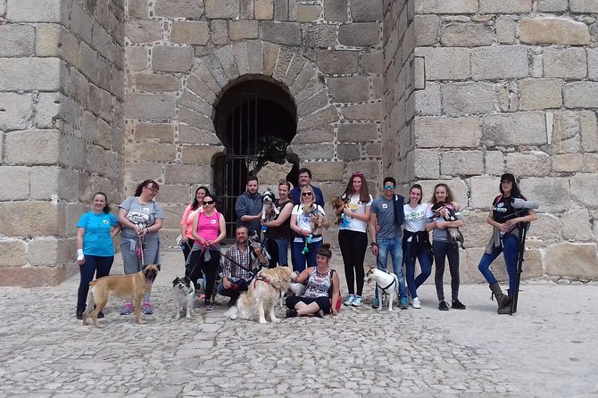 TRON of THRONES GUIDED Visit! We Are Not Encyclopedias With Legs! - Inclusions and Interactive Elements