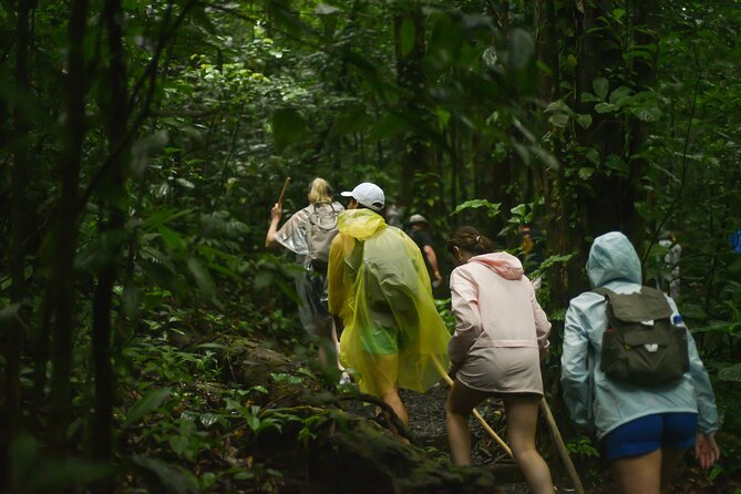 Tropical Rainforest, Hanging Bridges And Jungle Sloths Sanctuary - Customer Feedback and Recommendations