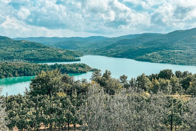 Truffle Hunting & Cooking Tour - Included in the Tour