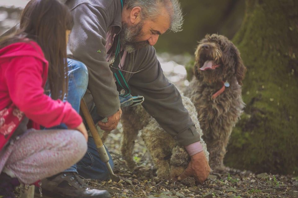 Truffle Hunting, Culinary & Wine Celebration From Heraklion - Guided Tour Features