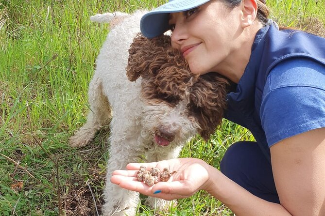 Truffle Hunting Experience in Assisi - Customer Reviews and Feedback