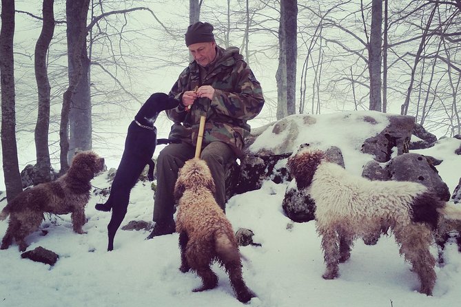 Truffle Hunting on Lake Bracciano With Lunch - Group Size and Accessibility