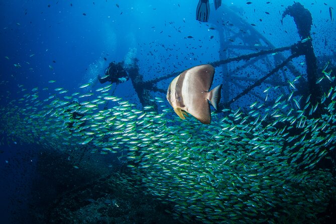 Try Scuba Diving 2 Dives Bang Bao - Booking and Cancellation Policy