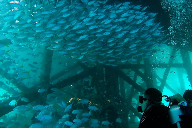 TRY SCUBA (Non Diver) - Customer Experiences