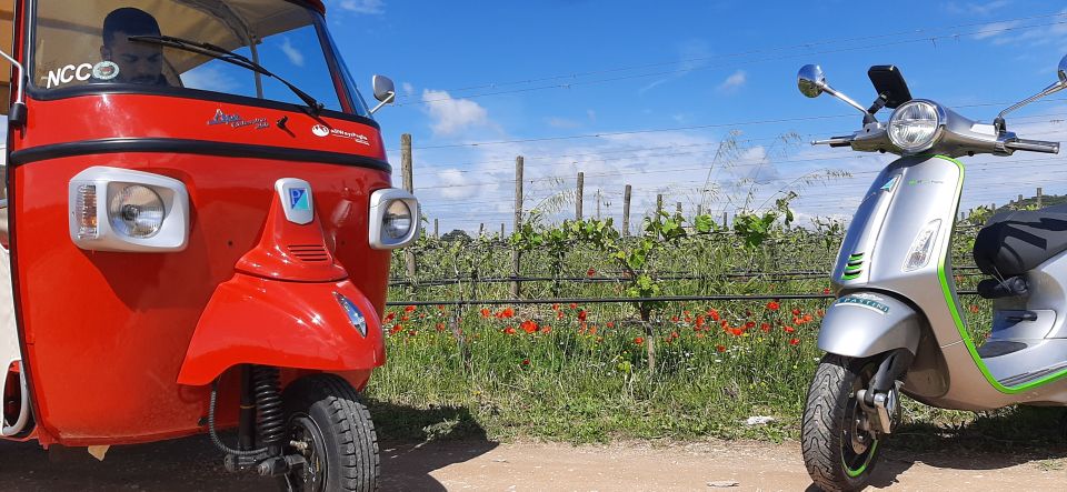 Tuk Tuk Audio Tour, Alberobello+Countryside - Customer Ratings and Feedback