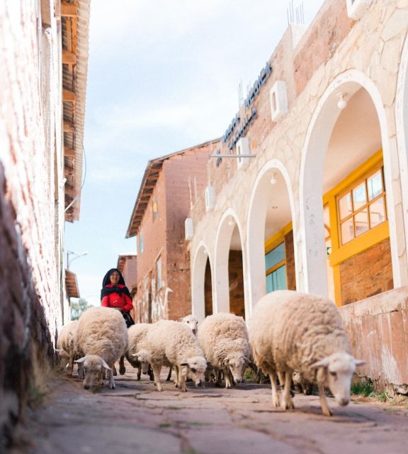 Two Day Tour of Lake Titicaca With Homestay in Amantani - Cultural Experiences and Activities