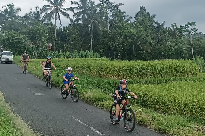 Ubud Cultural and Natural Downhill Cycling Tour - Booking Details