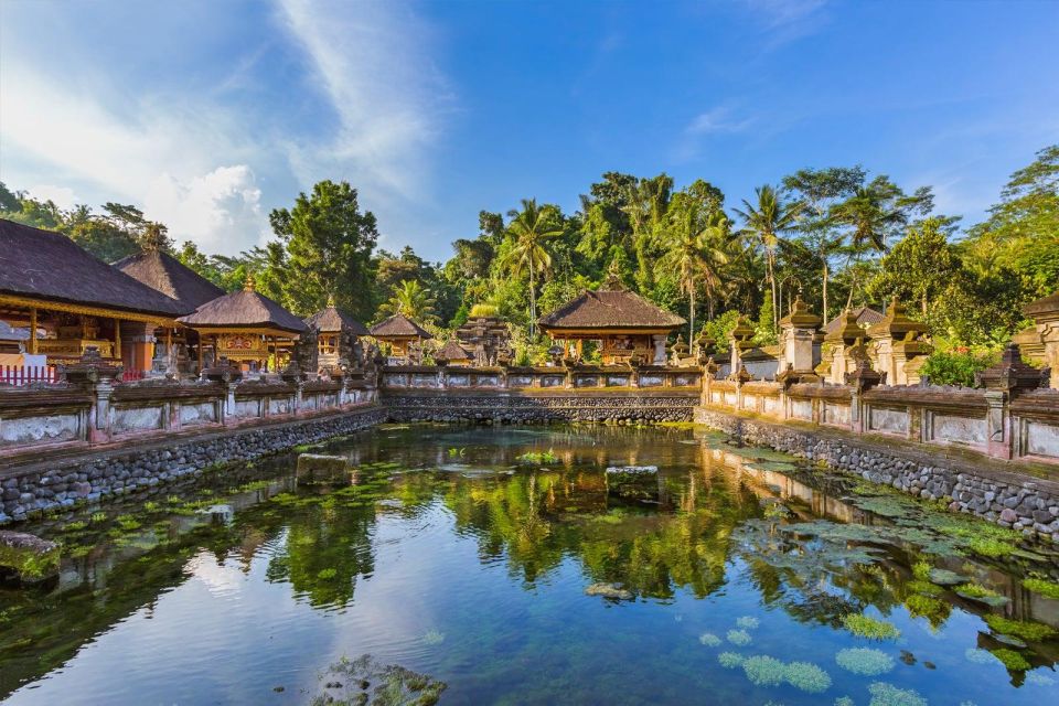 Ubud : Customizable Tour With Private Driver