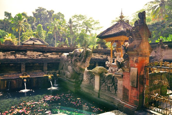 Ubud Highlight Private: Tegalalang & Holy Water Temple - Accessibility Features
