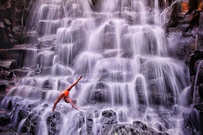 Ubud Jungle Swing, Temple & Waterfall Tour (Private Half Day Tour) - Booking Process