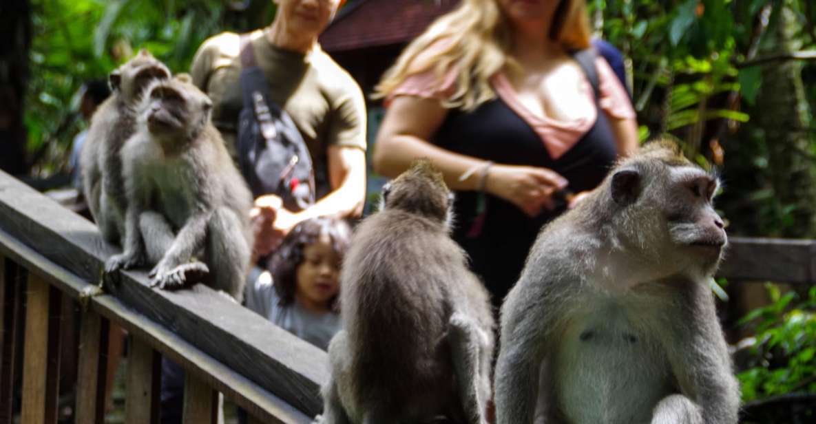 Ubud Monkey Forest, Waterfall, Temple and Rice Terrace Tour - Tukad Cepung Waterfall