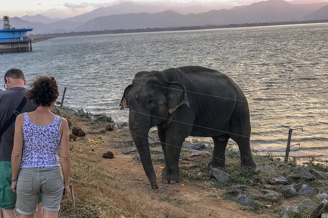 Udawalawa Wild Private Safari - Accessibility and Transportation Options