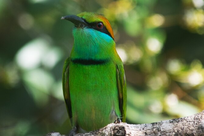 Udawalawe National Park | Private Safari Tour - Pickup and Meeting Points