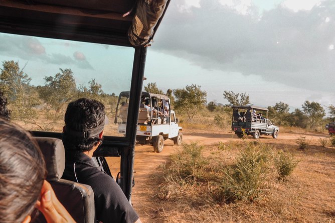 Udawalawe National Park Private Safari With Naturalist - Entrance Fees and Exclusions