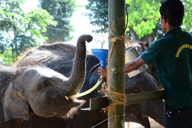Udawalawe National Park Safari With Elephant Transit Home Visit - Exclusions and Additional Costs