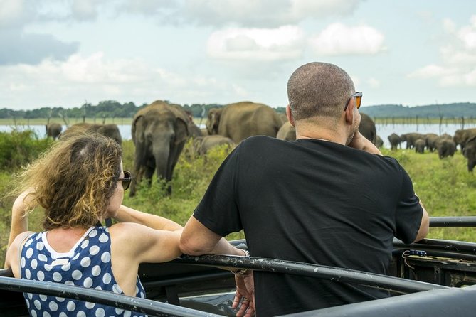 Udawalawe Safari From Hambantota Port (Shore Excursion) by BTM - Wildlife Encounter Highlights