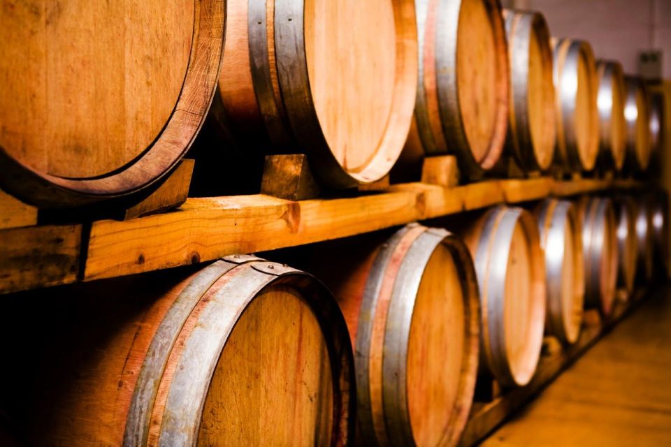 Ultimate Maipú Adventure: Winery Tour & Gourmet Lunch - Customer Reviews
