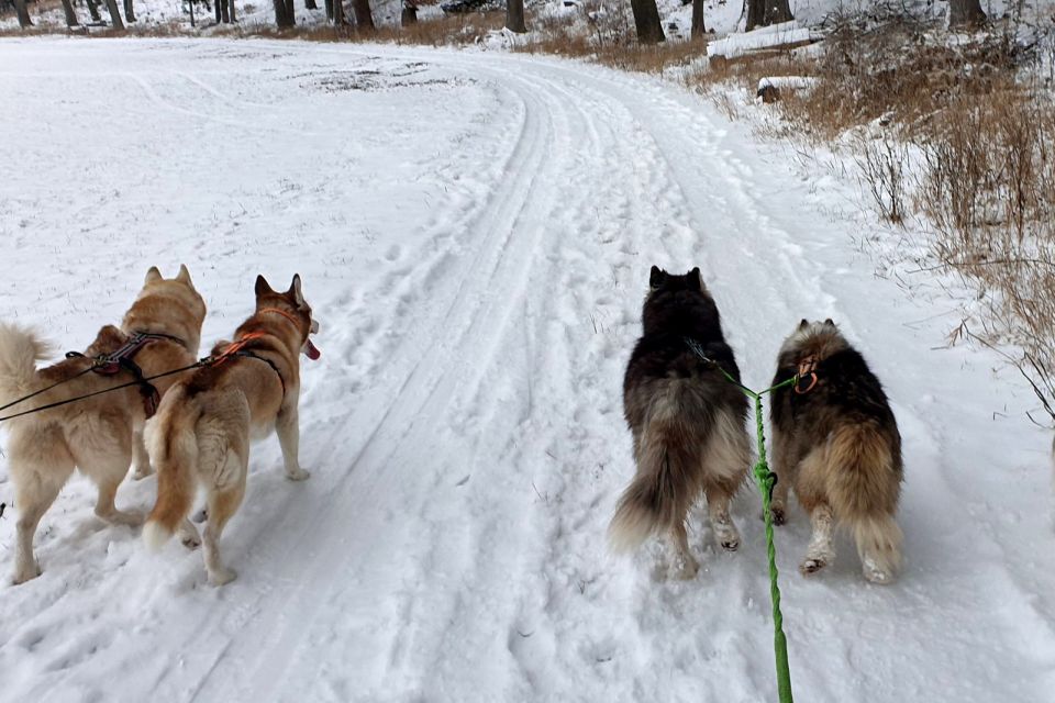 Underallgäu: Wiedergeltingen Guided Hike With Huskies - Hike Duration