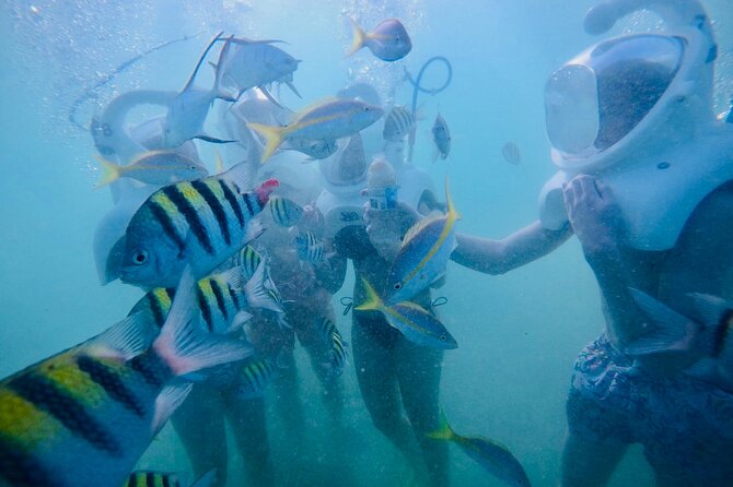 Underwater Sea Trek in San Juan: Explore Beneath the Waves - Exploring the Marine Life