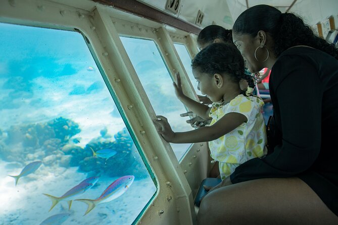 Underwater Seaworld Explorer Experience in Curaçao - Guest Reviews and Ratings