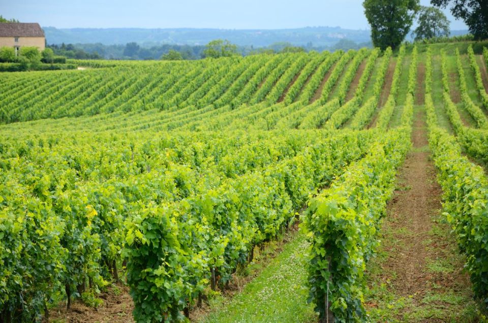 UNESCO Heritage and Wine Delights Private Tour From Bordeaux - Booking and Cancellation Policy