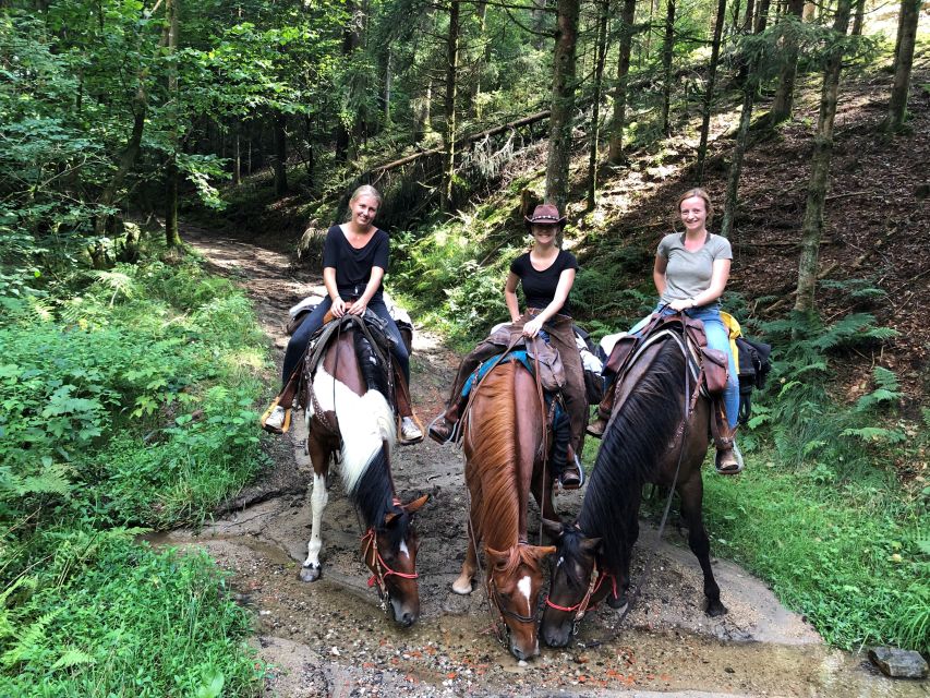 Upper Austria: Landscape, Forests, Meadows - Diverse Wildlife in the Region