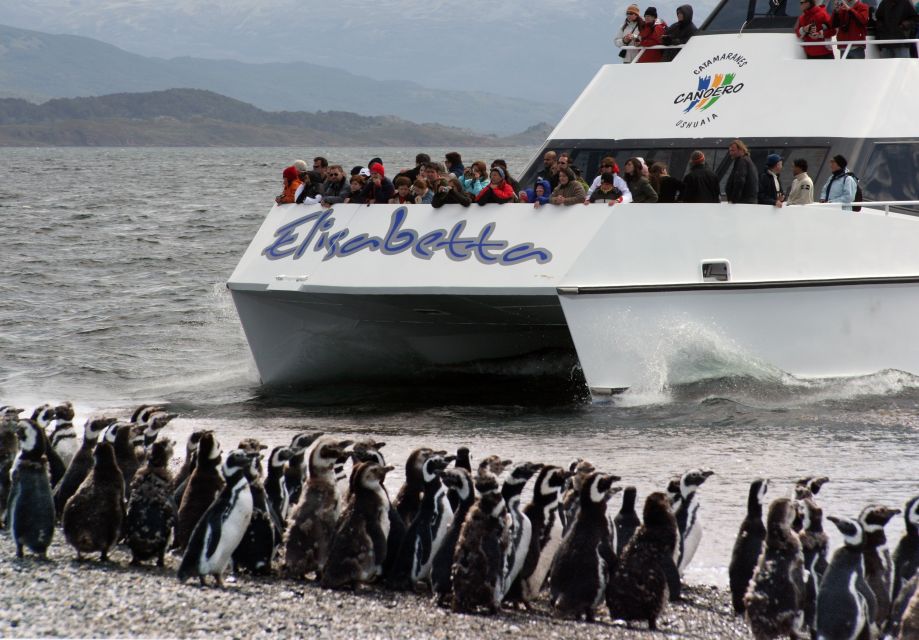 Ushuaia: Penguin Watching Tour by Catamaran - Meeting Point Details