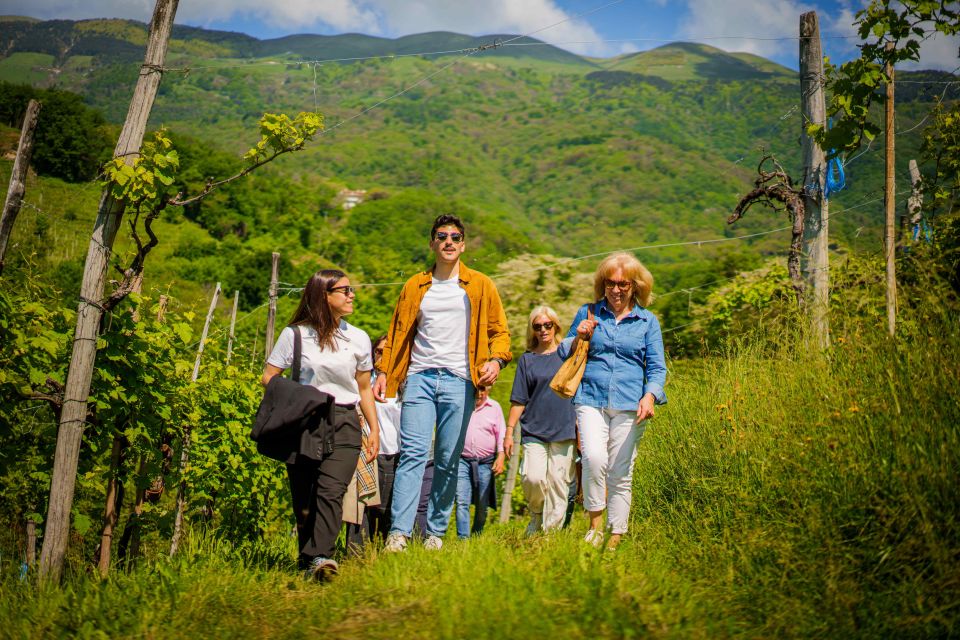 Valdobbiadene: Prosecco Superiore Hills Tour With Wine Tasting - Walk Through the Vineyards