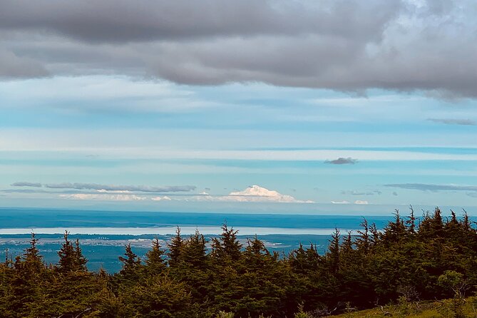 Valley of Glaciers Experience With Portage Glacier Cruise and Wildlife Tour - Wildlife Viewing Tips