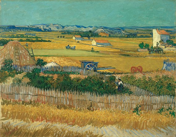 Van Gogh Museum Amsterdam and 1-Hour Canal Cruise - Tips for a Smooth Visit