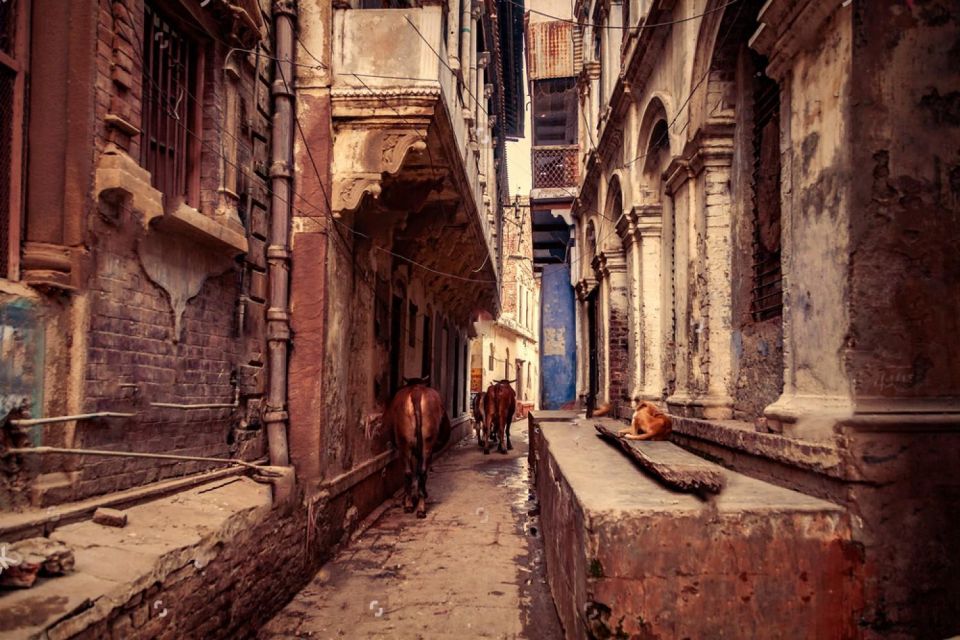 Varanasi: Varanasi Ghat & Temple Walking Tour - Customer Feedback