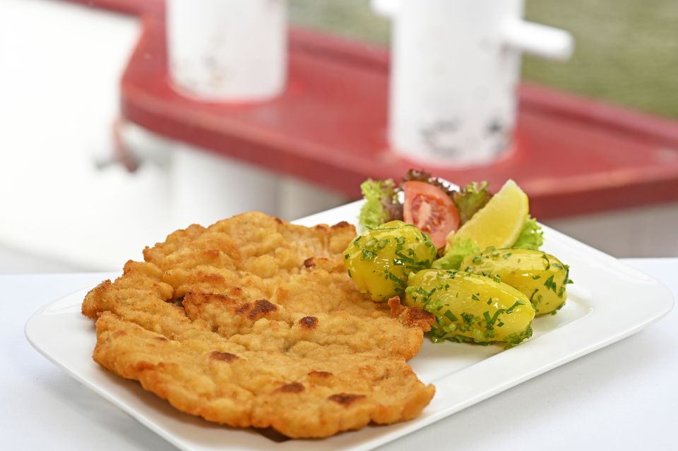 Vienna: Cruise and Schnitzel Tour - What to Expect on Board