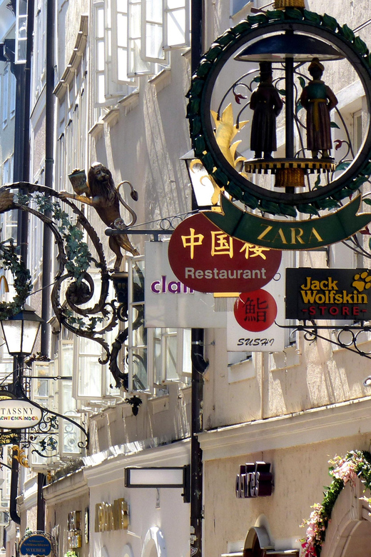 Vienna: Hallstatt and Salzburg Private Guided Day Trip - Booking Information