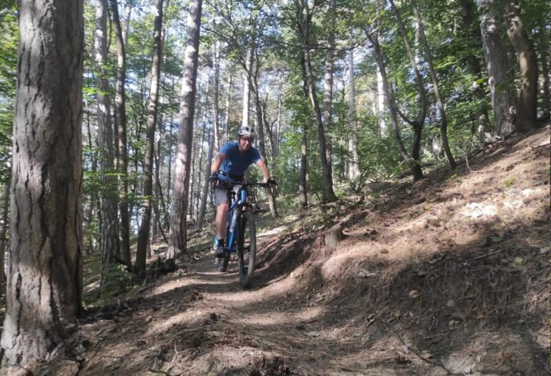 Vienna Mountain Bike Secrets - Scenic Trails and Terrain