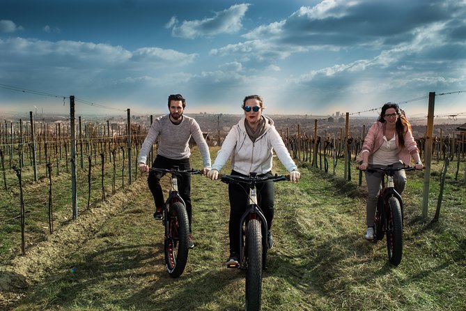 Vienna Small Group E-Bike Tour - Reviews and Feedback