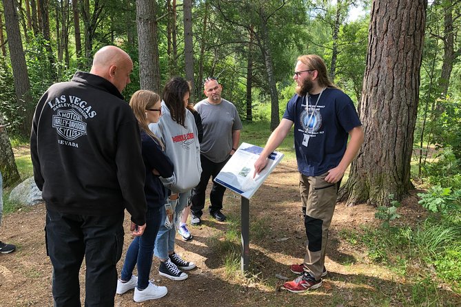 Viking History Small Group Tour From Stockholm: Half Day Including Sigtuna - Exploring Swedens Oldest City, Sigtuna