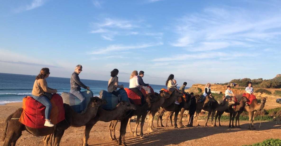 Vip Full Day Private Tangier Tour From Malaga All Inclusive - Camel Ride Experience