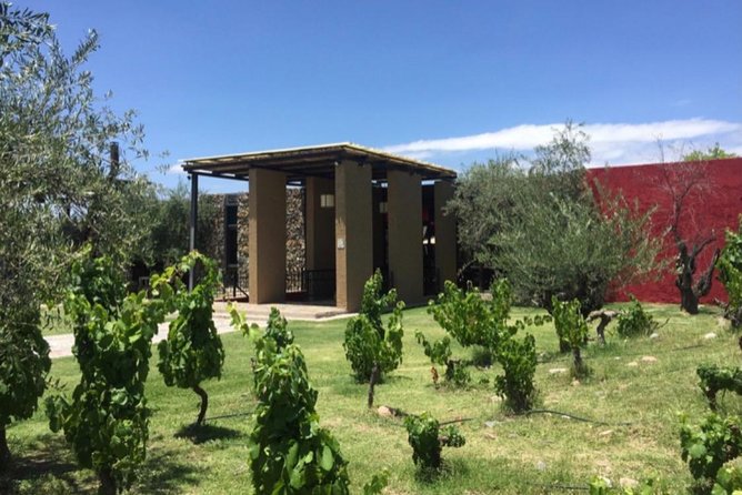Visit Trapiche+Lunch El Enemigo (Michelin). Private Transfer - Customer Ratings and Comments