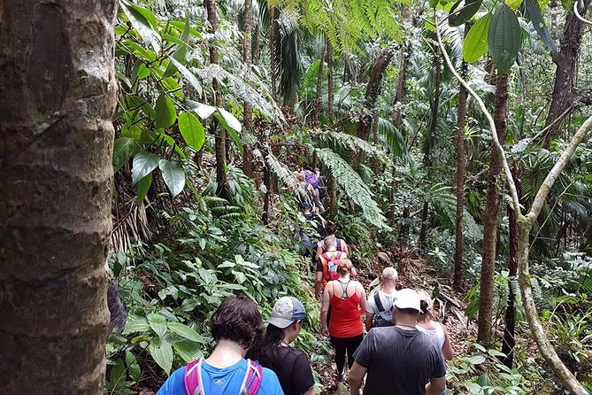 Volcano Crater Hiking Tour in St Kitts - Participant Experiences