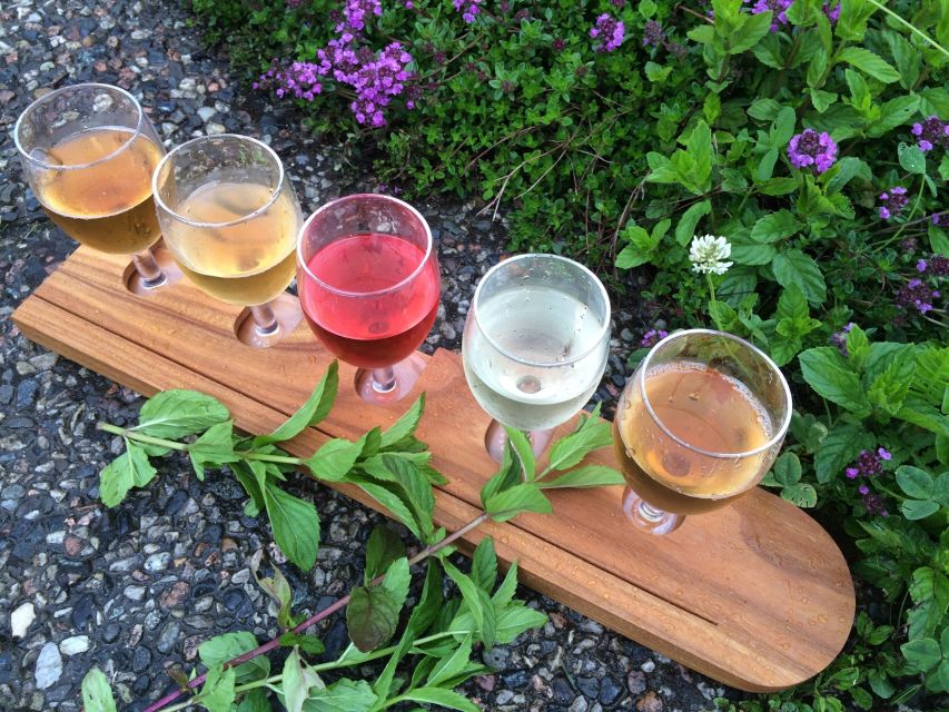 Voss: Guided Fjord & Cidery Tour to Balestrand - Accessibility Features