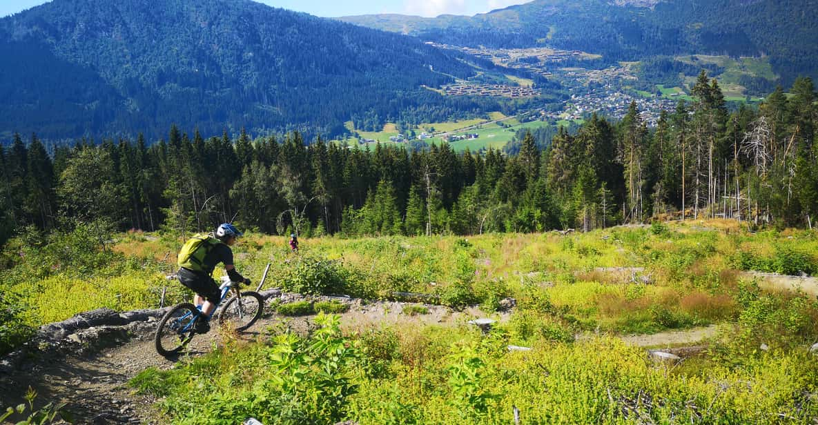 Voss - Mountain Bike – Bømoem Forest - Booking Your Adventure