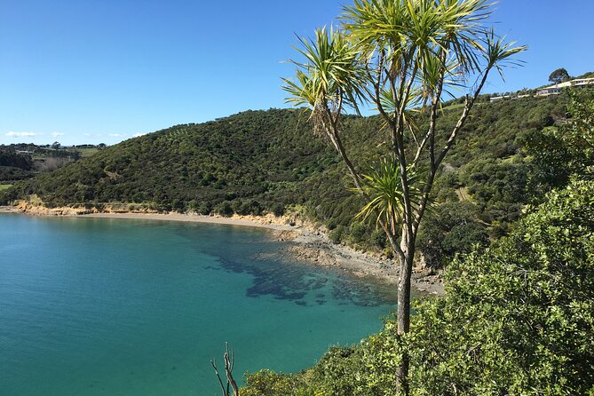 Waiheke Island Private Double Headland Walk - Important Tour Information