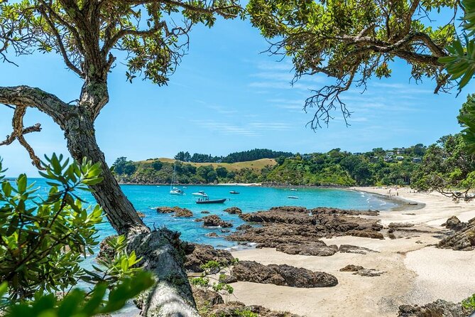 Waiheke Island Private Luxury Experience - Beach Picnic Experience