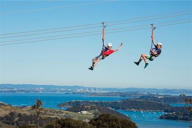 Waiheke Island: Zipline And Forest Walk - Age and Weight Restrictions