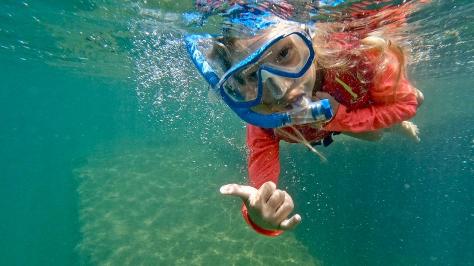 Waikiki: Honolulu Beginner Snorkeling Tour With Videos - Included Equipment and Gear