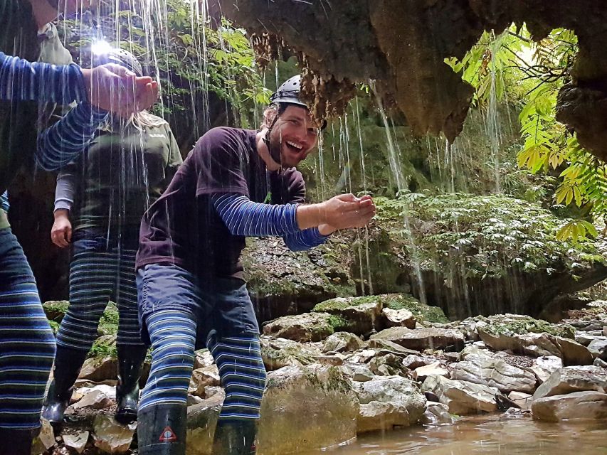 Waitomo: Guided Eco-Cave Tour - Customer Reviews