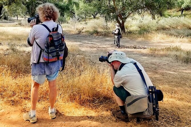 Walk on the Alentejo Cork Forest With Optional Lunch - Meeting Point and Logistics