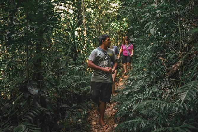 Walkabout Cultural Adventures - Ngana Julaymba Dungay Full Day - Booking Process