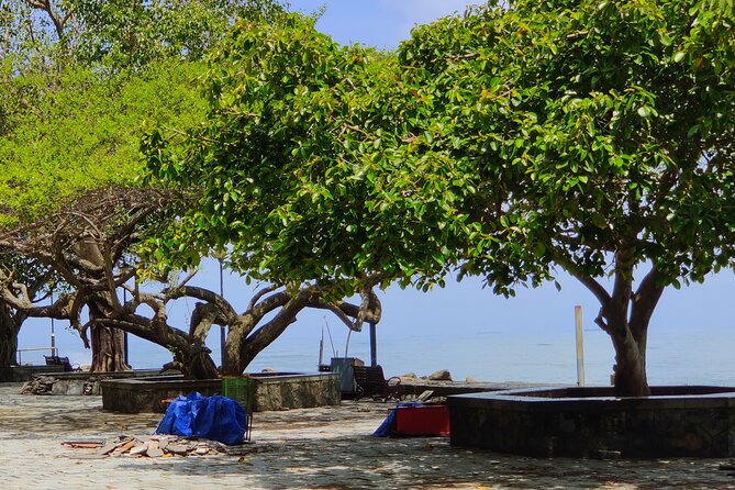 Walking Tour Of Fortkochi & Local Lunch - Rich History and Culture