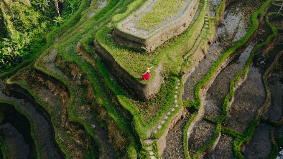 Wanderlust Birthday Photo and Video With Drone - Tegallalang Photo Stop